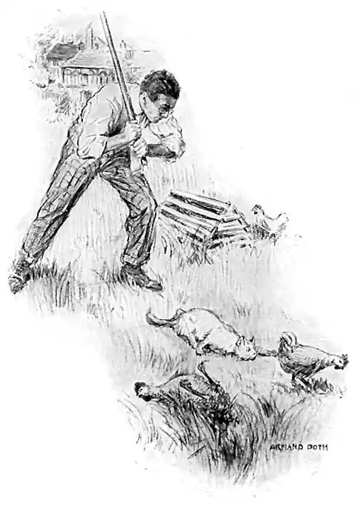 Things were not going very well on our model chicken farm.