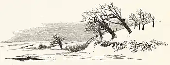 "Nature lies despoiled of every Charm"