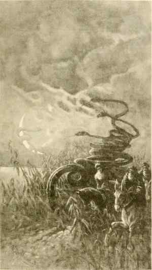 L'Alunna.