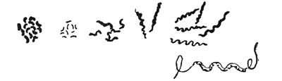 Fig. 1.—Bacilli of Various Forms. (Williams.)