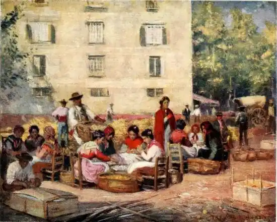 MALAGA—PACKING LEMONS