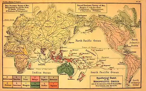 Hypothetical Sketch of the Monophyletic Origin of Man