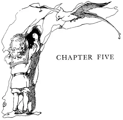 CHAPTER FIVE