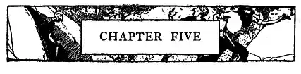 Chapter Five