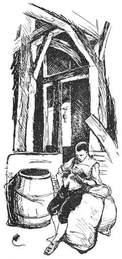 Rufus Putnam studying mathematics