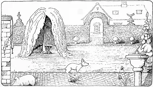 Jip running around garden