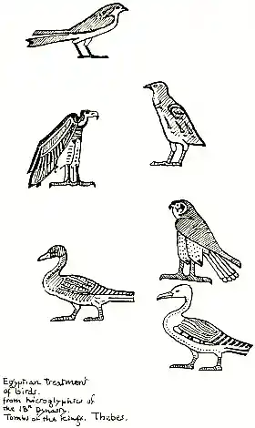 Egyptian treatment of birds.