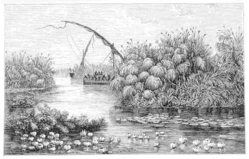 VESSELS IN THE GRASS-BARRIER