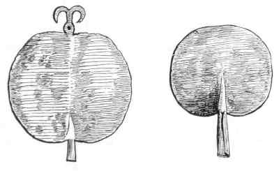 Title or description