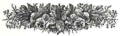 image006