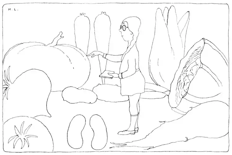 THE VEGETABLE SCHOOL