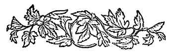 image005