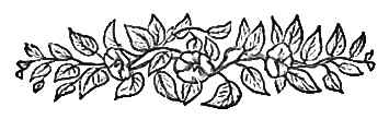 image006
