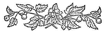 image008