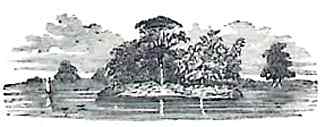 image021