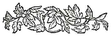 image026
