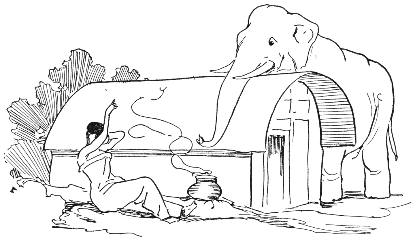 ‘Save me from the elephant!’