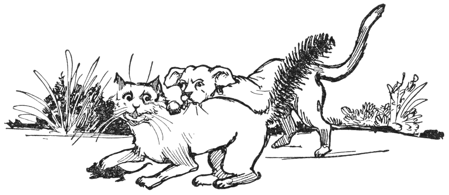 ‘Here, dog, bite the cat’