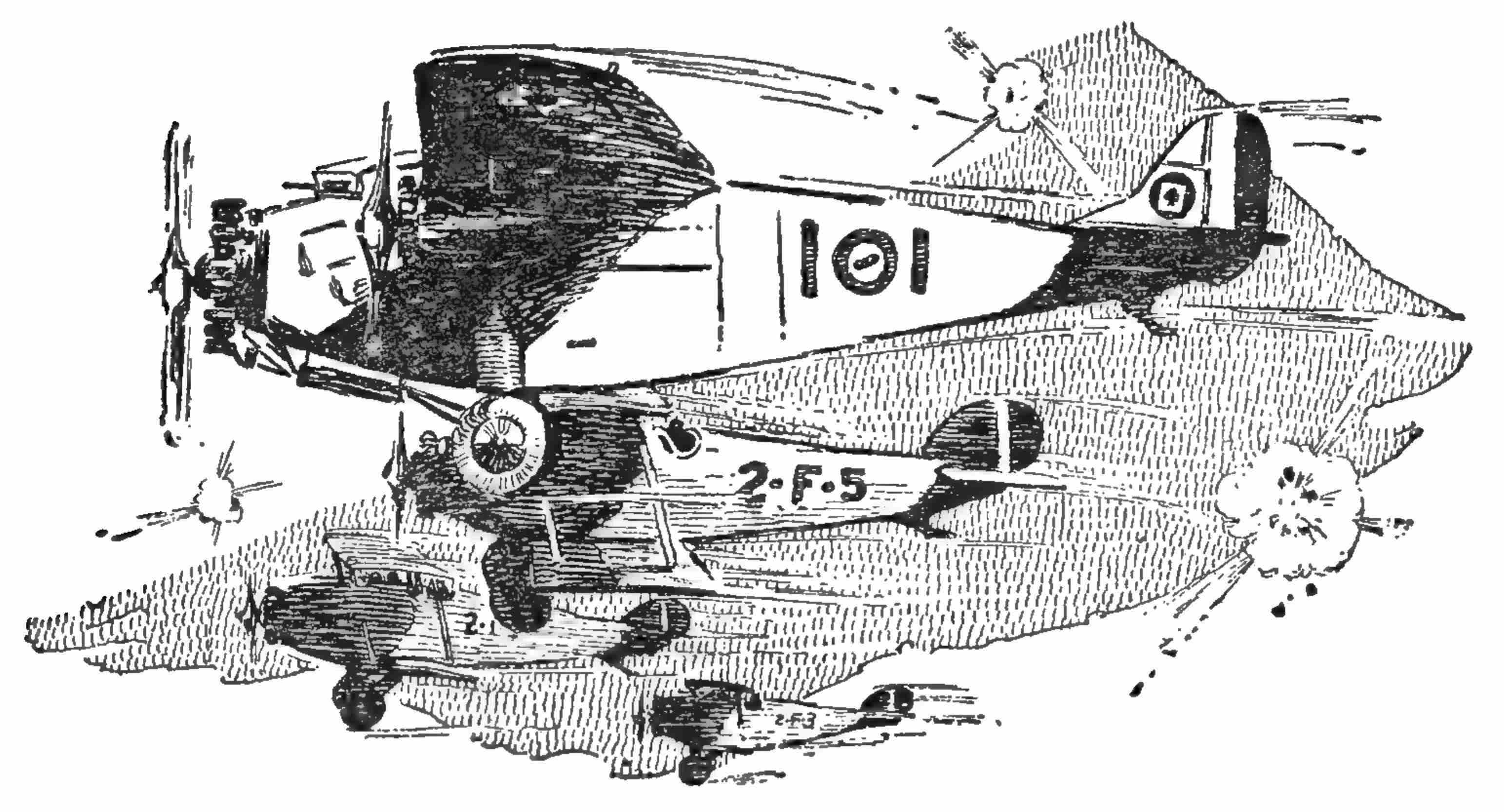 A man hitting Irish on the head