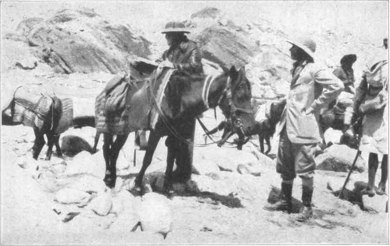 A group of men dressed in period exploration gear and horses in the mountains