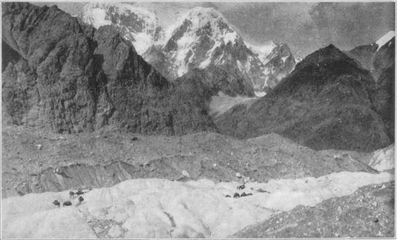 A glacier, with mountains in the background.