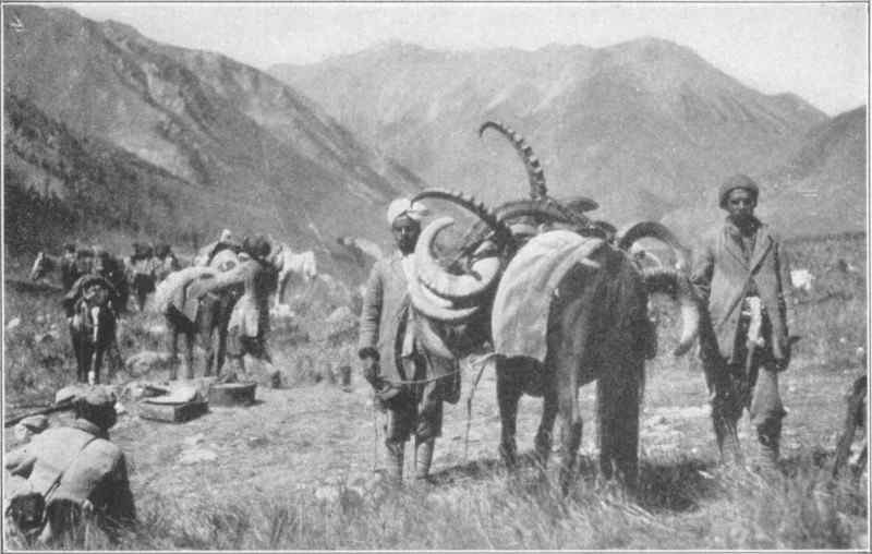 Several men and ponies stood on grassland with mountains in the background. The nearst pony is loaded with antlers of different types.