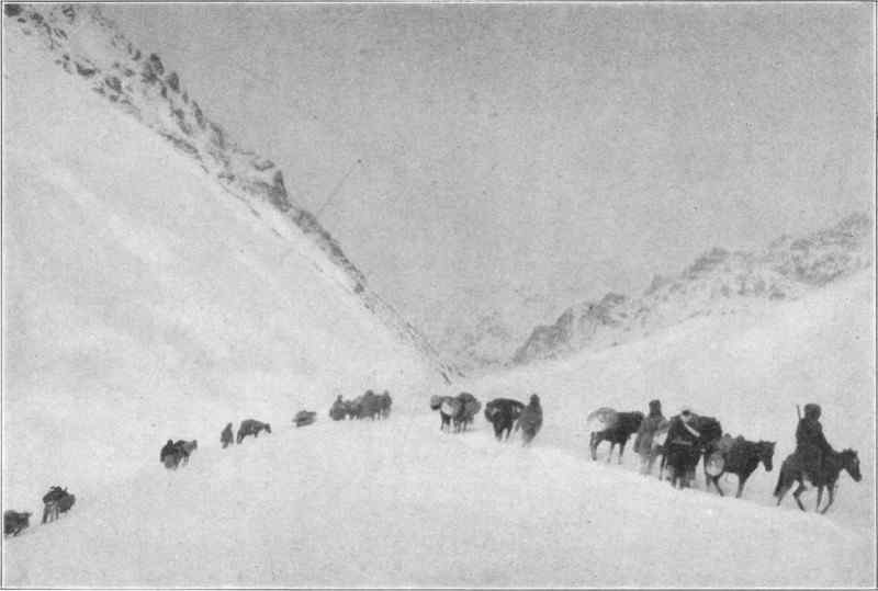 A long row of pack animals and riders crossing the snow with mountains in the background.